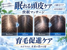 ミライ(Mirai)の雰囲気（【本気の抜け毛ケア／新ヘッドスパ】天然商材で土台から動かす）