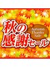 ★秋の感謝セール★足つぼ＆爽快COOLヘッドマッサージ付50分6,500→5300