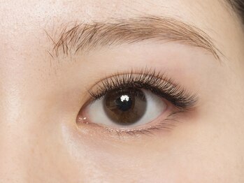 エクロール(Eclore)/本数多くても◎