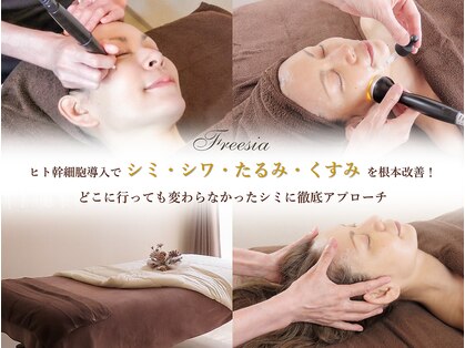 フリージア(Freesia)の写真