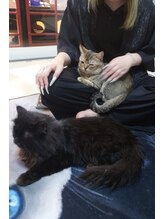 猫の爪 Aya. ネイリスト