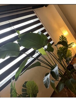 ティー(Tee)/★内観★