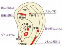 最終形美/耳ツボの作用
