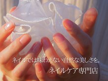 セル(Cell)