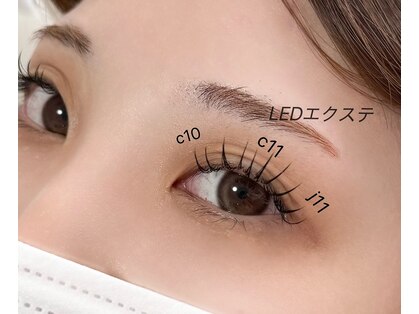 モカ(moca)の写真