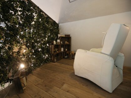 アレックスレコ(alex reco)の写真