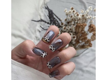 シェルシー(Shellsee)の写真