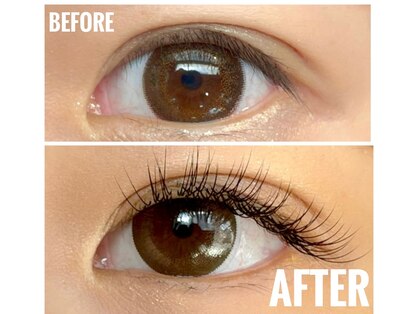 アイアイ(i eye)の写真