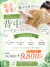 夏限定！緊急モニター募集！REVI背中ハーブピーリング￥16500→￥9800