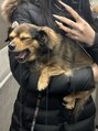 エムズアイブロウ 大阪梅田店(M’sアイブロウ) チワックス飼ってます(^^)