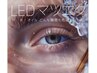 【当店1番人気★】持続力UP◎LEDフラットラッシュ100本