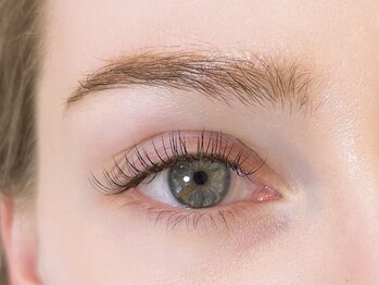 ブルーフォレスト