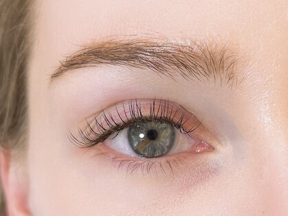 ブルーフォレストの写真