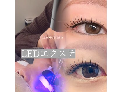 ラニアイラッシュ(Lani eyelash)の写真