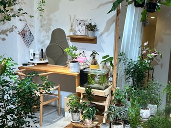 スア プレイス(SUA Place)