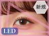 【LEDハリウッドボリューム　６D 】両目380本まで￥6000 (初回オフ無料)