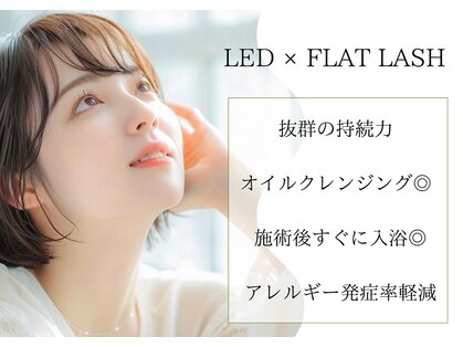 ピュアリス(Pualice)の写真