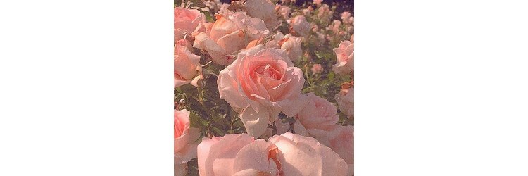 KIREI SHARE by princess rose マツエク/まつげパーマ/眉毛/メンズ/脱毛/フェイシャルのサロンヘッダー