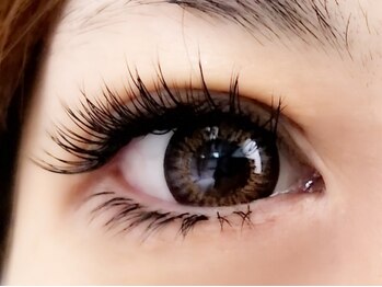 プリモ(PRIMO)/【上Cカール・下Jカール】