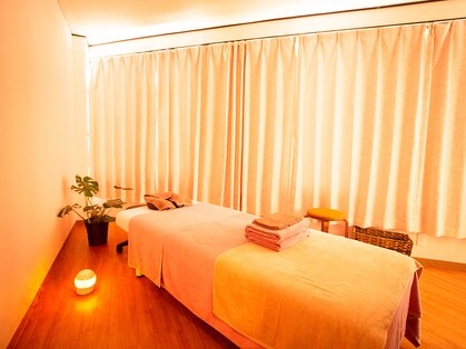 プルメリア(Plumeria)の写真