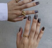 シェルシー(Shellsee)