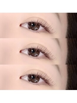 トータルビューティーサロン マイスター(MEISTER)/カラーマツエク