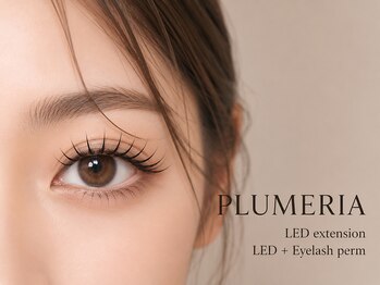 医療提携サロン プルメリア 久留米上津バイパス店(PLUMERIA)の写真/マツエク上3700円～オフ込★LEDマツエク/フラットラッシュ/バインドロックも有/無料で束感仕上げもOK！