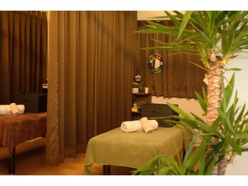 もみの樹/Welcome