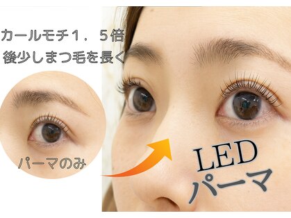 スパイス 天満橋店(Spice)の写真