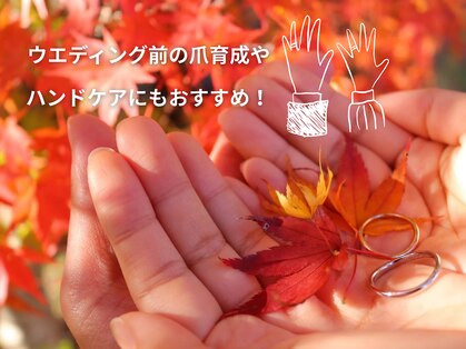 セル(Cell)の写真
