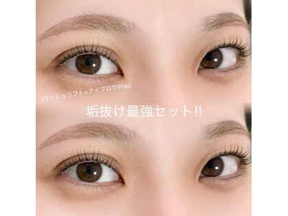 モカ(moca)の写真