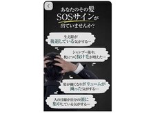 ブルー(blue)の雰囲気（「育毛促進メニューは延岡ではblueだけの施術になります」）