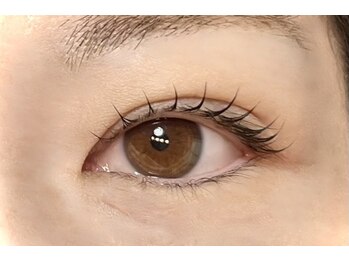 アイラッシュ アイビー(Ivy)/