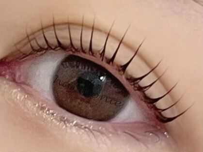 アルモニ(harmonie)の写真