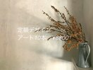 PG009513872