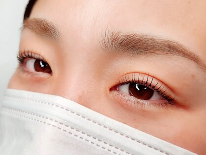 レイ(Lei)の写真