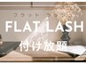 【フラットマットラッシュ 付け放題 】