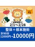 《お得に通いたい方に》全身整体60分+肩こり腰痛特化した根本施術30分計90分