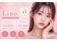 リノ(Lino)の写真