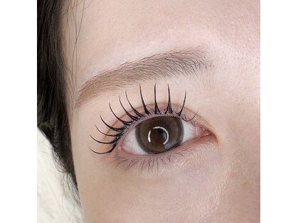 オタマ ラッシュ(Otama lash.)の写真