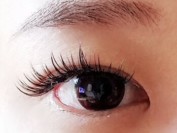 プリモ(PRIMO)/【カールmixデザイン】LD→C