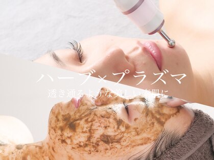 リティ(Lety.)の写真