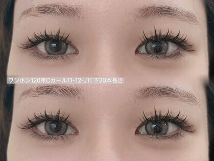 プカ(Puka)の写真