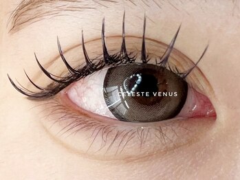 セレストヴィーナス(Celeste Venus)/カラーエクステ120本★