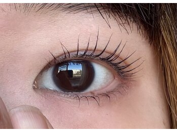 ニーヨンアイラッシュ(24eyelash)/ラッシュリフト(上下)