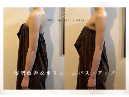 シェデル(SHEDEL Spa)の写真