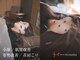 ヒノト(Hinoto)の写真