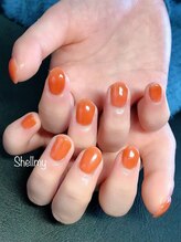 シェルミー(Shellmy)/ワンカラー &nbsp;