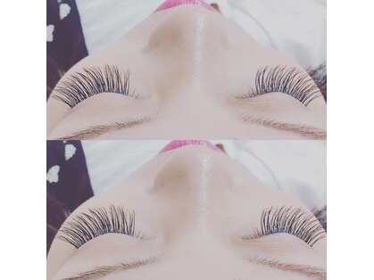 ディーナ(Dina)の写真