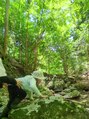 マナスタ(mana stu) 息子と沢登りしました！デジタルデトックスもできました！